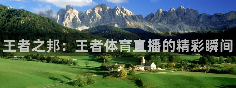 蓝鲸体育直播在线观看nba总决赛：王者之邦：王者体育直播的精彩瞬间