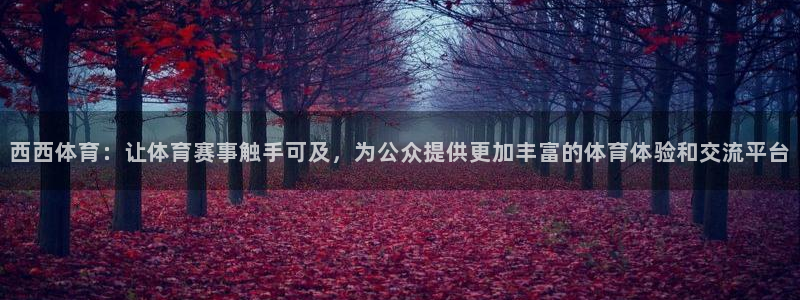 蓝鲸直播安卓版：西西体育：让体育赛事触手可及，为公众提供更加丰富的体育体验和交流平台