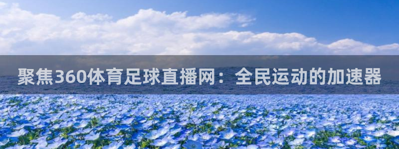 蓝鲸lanjing同直播：聚焦360体育足球直播网：全民运动的加速器