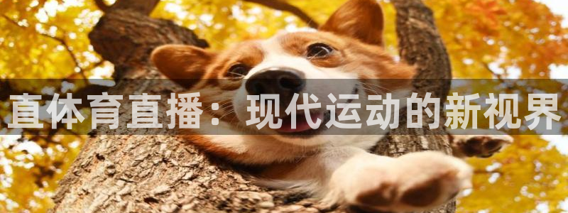 直播蓝鲸：直体育直播：现代运动的新视界
