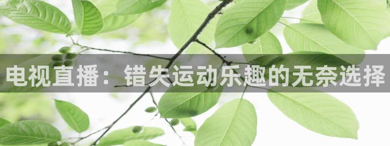 蓝鲸下载：电视直播：错失运动乐趣的无奈选择