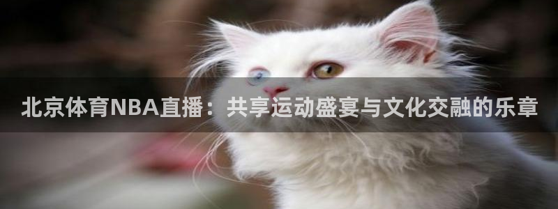 蓝鲸直播app ios：北京体育NBA直播：共享运动盛宴与文化交融的乐章