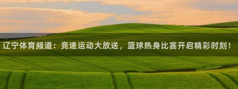 蓝鲸fm直播官网：辽宁体育频道：竞速运动大放送，篮球热身比赛开启精彩时刻！