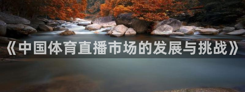 蓝鲸直播 安卓：《中国体育直播市场的发展与挑战》