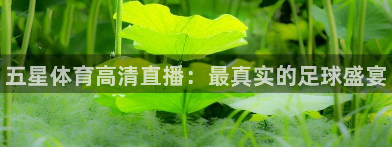 蓝鲸直播软件下载：五星体育高清直播：最真实的足球盛宴