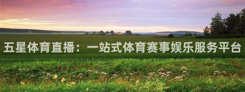 蓝鲸体育app官网版：五星体育直播：一站式体育赛事娱乐服务平台