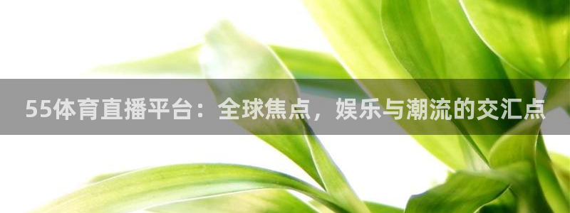 蓝鲸体育直播在线观看免费高清：55体育直播平台：全球焦点，娱乐与潮流的交汇点