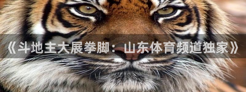 蓝鲸体育直播下载app：《斗地主大展拳脚：山东体育频道独家》