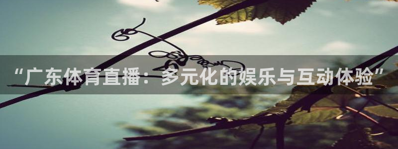 蓝鲸体育足球直播在线观看：“广东体育直播：多元化的娱乐与互动体验”