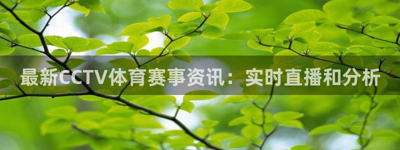 蓝鲸体育tv版下载：最新CCTV体育赛事资讯：实时直播和分析